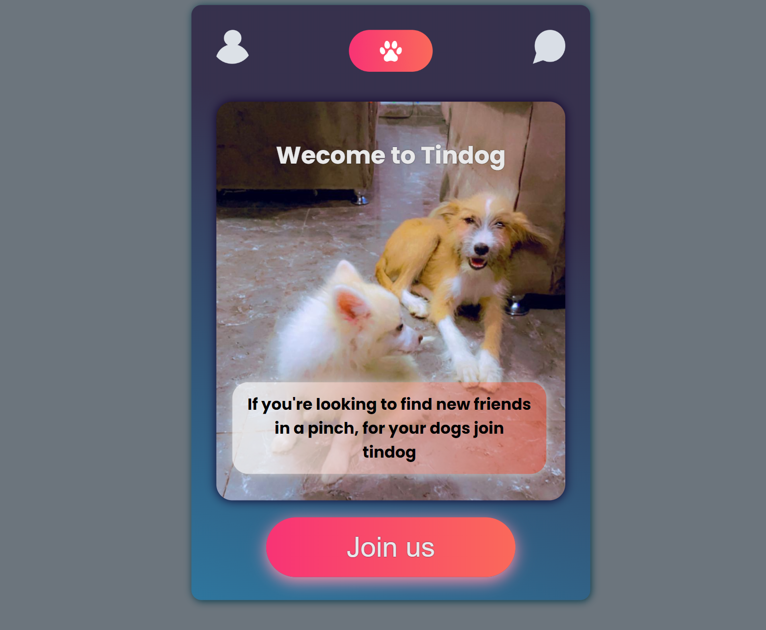 tindog-app-img